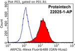 ARPC5L Antibody in Flow Cytometry (Flow)