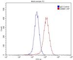 UNC5A Antibody in Flow Cytometry (Flow)