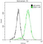 Cytokeratin 14 Antibody in Flow Cytometry (Flow)