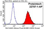 MCT4 Antibody in Flow Cytometry (Flow)