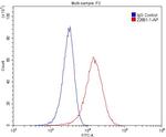 IL22RA2 Antibody in Flow Cytometry (Flow)