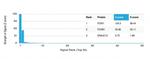 FOXL1/Forkhead Box Protein L1 (Transcription Factor) Antibody in Peptide array (ARRAY)