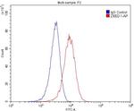 SORCS1 Antibody in Flow Cytometry (Flow)