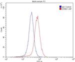 GRIA4 Antibody in Flow Cytometry (Flow)