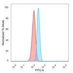 Sirtuin1 (SIRT1) Antibody in Flow Cytometry (Flow)