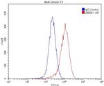 SRA1 Antibody in Flow Cytometry (Flow)