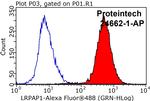 LRPAP1 Antibody in Flow Cytometry (Flow)