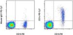 CD1c Antibody in Flow Cytometry (Flow)