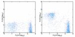 CD3e Antibody in Flow Cytometry (Flow)