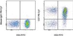 CD7 Antibody in Flow Cytometry (Flow)