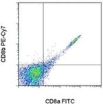 CD8b Antibody in Flow Cytometry (Flow)