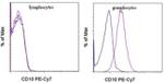 CD10 Antibody in Flow Cytometry (Flow)