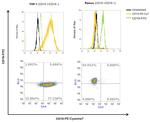 CD15 Antibody in Flow Cytometry (Flow)