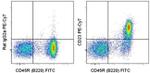 CD23 Antibody in Flow Cytometry (Flow)