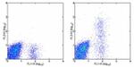 CD23 Antibody in Flow Cytometry (Flow)