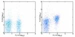 CD28 Antibody in Flow Cytometry (Flow)