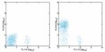 CD28 Antibody in Flow Cytometry (Flow)