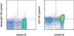 CD31 (PECAM-1) Antibody in Flow Cytometry (Flow)