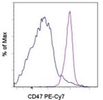 CD47 Antibody in Flow Cytometry (Flow)