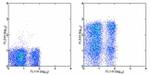 CD62L (L-Selectin) Antibody in Flow Cytometry (Flow)