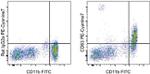 CD63 Antibody in Flow Cytometry (Flow)