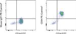 CD64 Antibody in Flow Cytometry (Flow)