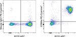 CD66a (CEACAM1) Antibody in Flow Cytometry (Flow)