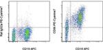 CD86 (B7-2) Antibody in Flow Cytometry (Flow)