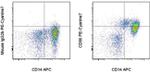 CD86 (B7-2) Antibody in Flow Cytometry (Flow)