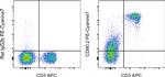 CD90.2 (Thy-1.2) Antibody in Flow Cytometry (Flow)