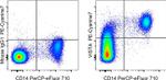 VISTA Antibody in Flow Cytometry (Flow)