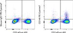 CD146 Antibody in Flow Cytometry (Flow)