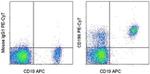 CD196 (CCR6) Antibody in Flow Cytometry (Flow)