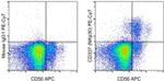 CD337 (NKp30) Antibody in Flow Cytometry (Flow)