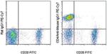 Mouse IgG1 Secondary Antibody in Flow Cytometry (Flow)