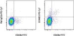 EOMES Antibody in Flow Cytometry (Flow)