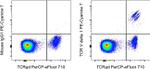 TCR V delta 1 Antibody in Flow Cytometry (Flow)