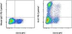 Ki-67 Antibody in Flow Cytometry (Flow)