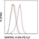 OVA257-264 (SIINFEKL) peptide bound to H-2Kb Antibody in Flow Cytometry (Flow)