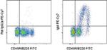 IgM Antibody in Flow Cytometry (Flow)