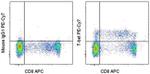 T-bet Antibody in Flow Cytometry (Flow)