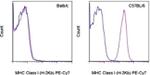 MHC Class I (H-2Kb) Antibody in Flow Cytometry (Flow)