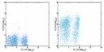 Ly-6A/E (Sca-1) Antibody in Flow Cytometry (Flow)