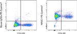 Glucocorticoid receptor (NR3C1) Antibody in Flow Cytometry (Flow)