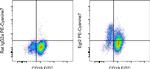 EGR2 Antibody in Flow Cytometry (Flow)