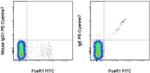 IgE Antibody in Flow Cytometry (Flow)