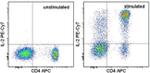 IL-2 Antibody in Flow Cytometry (Flow)