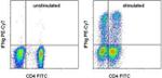 IFN gamma Antibody in Flow Cytometry (Flow)