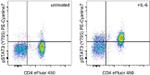 Phospho-STAT3 (Tyr705) Antibody in Flow Cytometry (Flow)