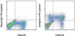 Granzyme A Antibody in Flow Cytometry (Flow)